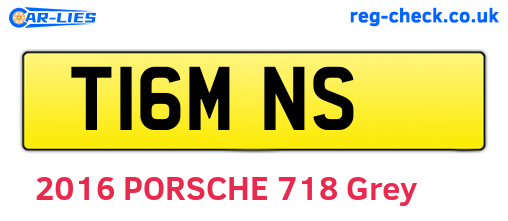 T16MNS are the vehicle registration plates.