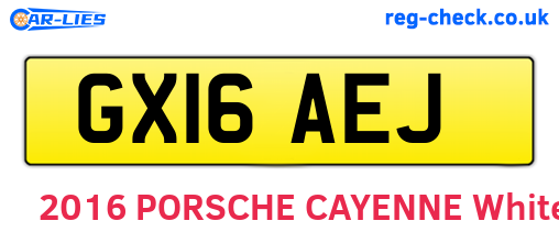 GX16AEJ are the vehicle registration plates.