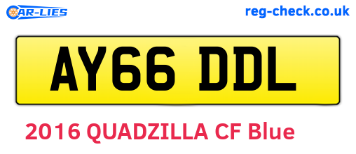 AY66DDL are the vehicle registration plates.