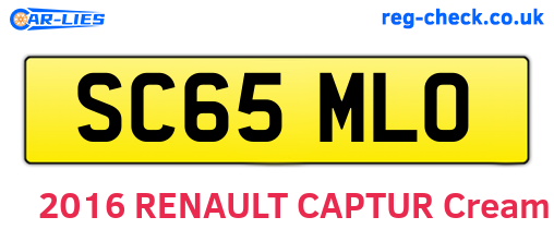 SC65MLO are the vehicle registration plates.