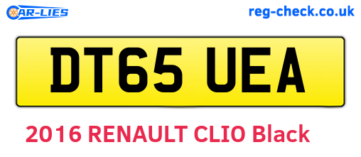 DT65UEA are the vehicle registration plates.