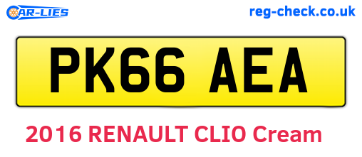 PK66AEA are the vehicle registration plates.