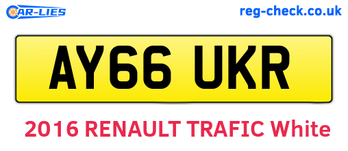 AY66UKR are the vehicle registration plates.