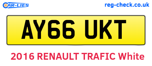 AY66UKT are the vehicle registration plates.
