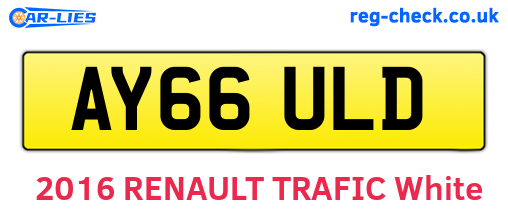 AY66ULD are the vehicle registration plates.