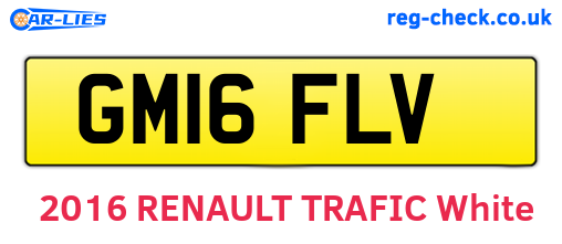 GM16FLV are the vehicle registration plates.