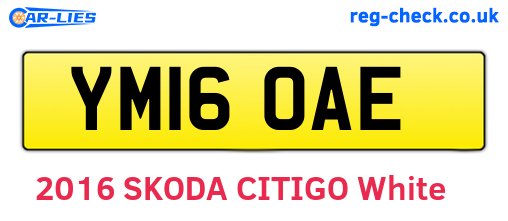 YM16OAE are the vehicle registration plates.