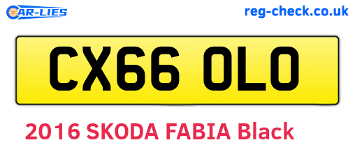CX66OLO are the vehicle registration plates.