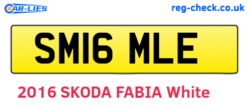 SM16MLE are the vehicle registration plates.