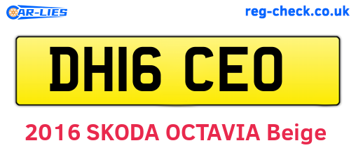 DH16CEO are the vehicle registration plates.