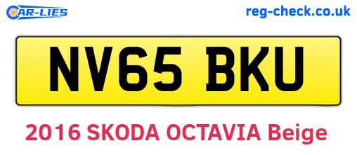 NV65BKU are the vehicle registration plates.