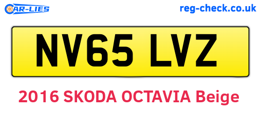 NV65LVZ are the vehicle registration plates.
