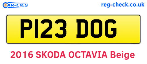 P123DOG are the vehicle registration plates.