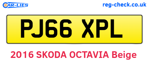 PJ66XPL are the vehicle registration plates.