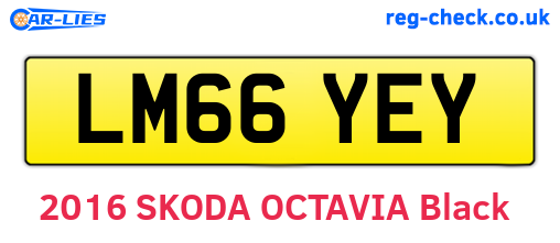 LM66YEY are the vehicle registration plates.
