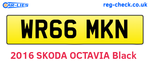 WR66MKN are the vehicle registration plates.