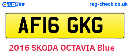 AF16GKG are the vehicle registration plates.