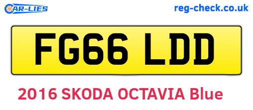 FG66LDD are the vehicle registration plates.