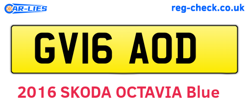 GV16AOD are the vehicle registration plates.