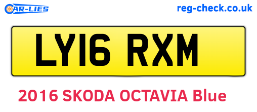 LY16RXM are the vehicle registration plates.