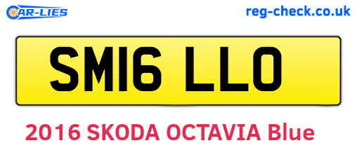 SM16LLO are the vehicle registration plates.