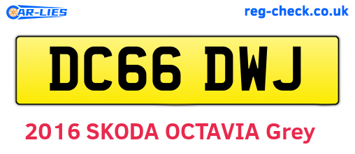 DC66DWJ are the vehicle registration plates.