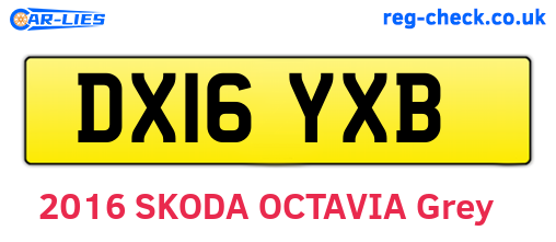 DX16YXB are the vehicle registration plates.