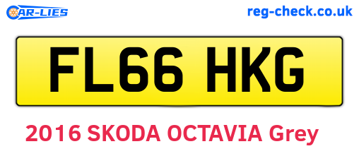 FL66HKG are the vehicle registration plates.
