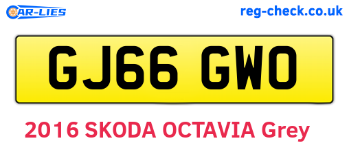 GJ66GWO are the vehicle registration plates.