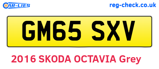 GM65SXV are the vehicle registration plates.