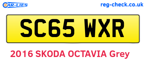 SC65WXR are the vehicle registration plates.