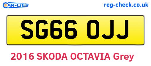 SG66OJJ are the vehicle registration plates.