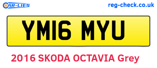 YM16MYU are the vehicle registration plates.