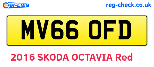 MV66OFD are the vehicle registration plates.