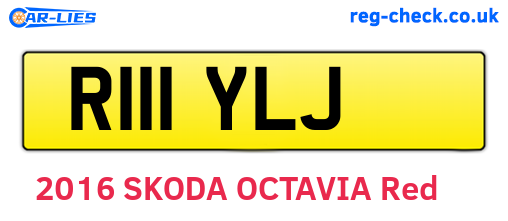 R111YLJ are the vehicle registration plates.