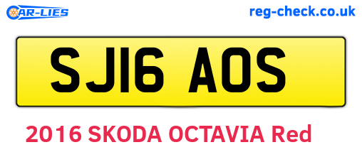 SJ16AOS are the vehicle registration plates.