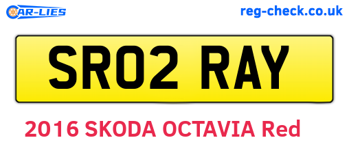 SR02RAY are the vehicle registration plates.