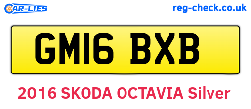GM16BXB are the vehicle registration plates.