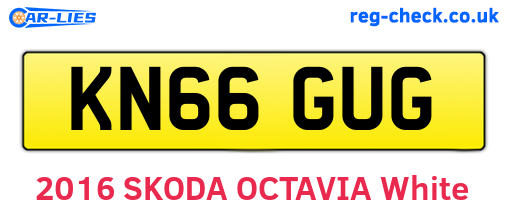 KN66GUG are the vehicle registration plates.