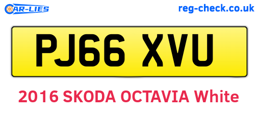 PJ66XVU are the vehicle registration plates.