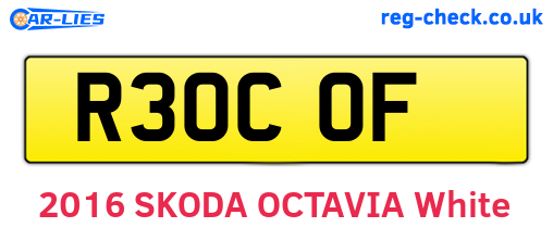 R30COF are the vehicle registration plates.