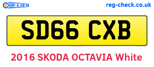 SD66CXB are the vehicle registration plates.