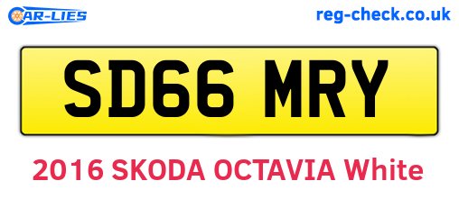 SD66MRY are the vehicle registration plates.