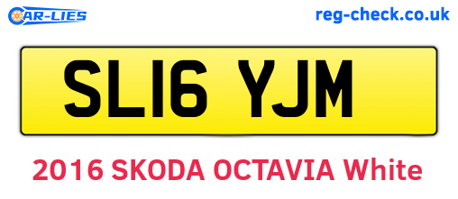 SL16YJM are the vehicle registration plates.