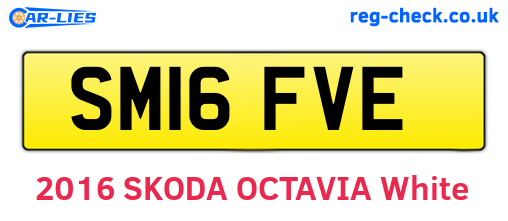 SM16FVE are the vehicle registration plates.
