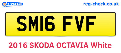 SM16FVF are the vehicle registration plates.