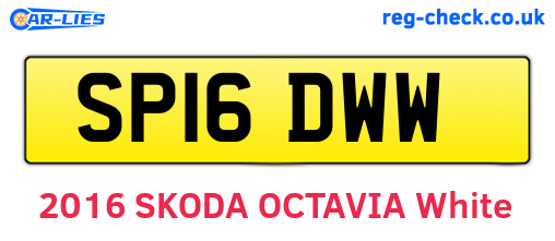 SP16DWW are the vehicle registration plates.