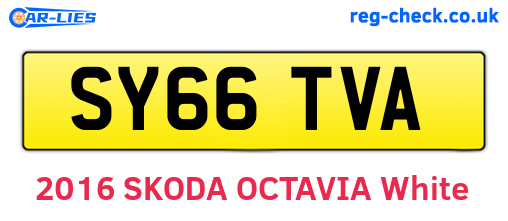 SY66TVA are the vehicle registration plates.