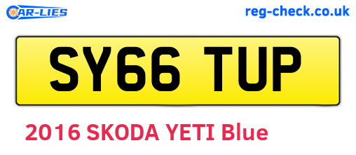 SY66TUP are the vehicle registration plates.