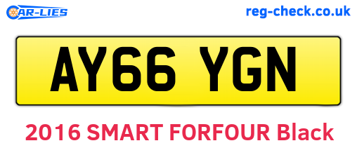 AY66YGN are the vehicle registration plates.